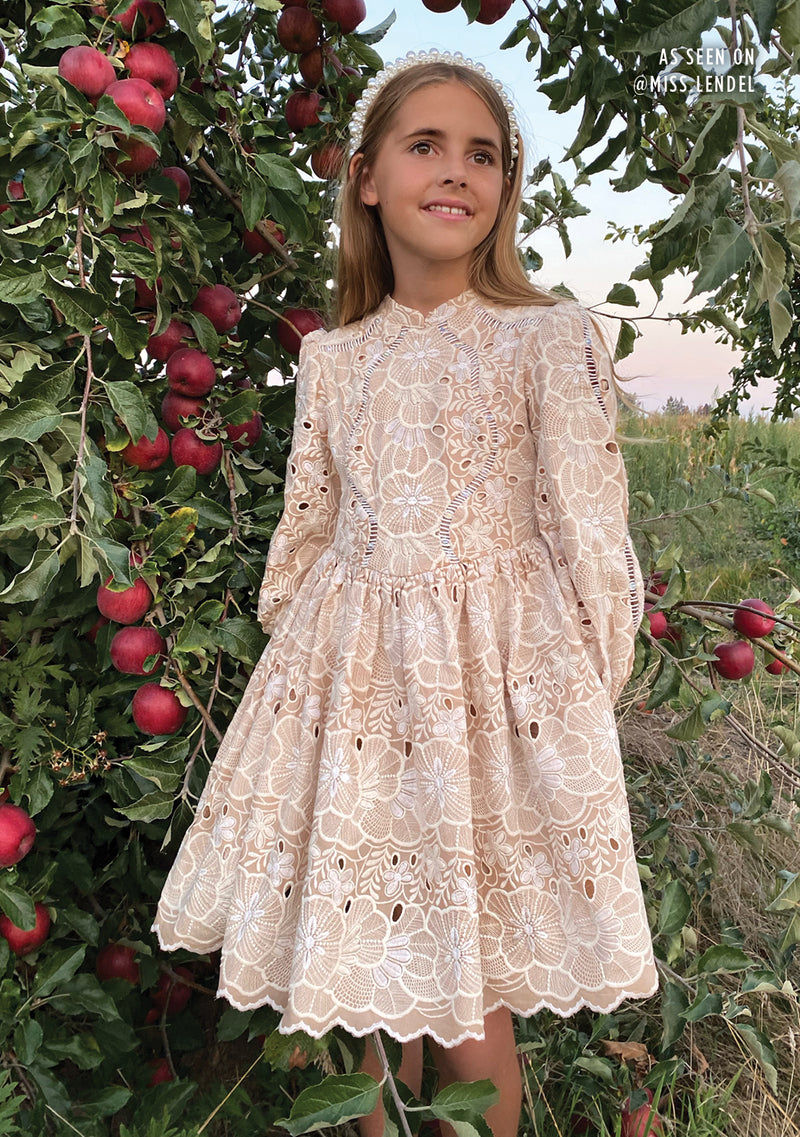 Riley Embroidered Dress