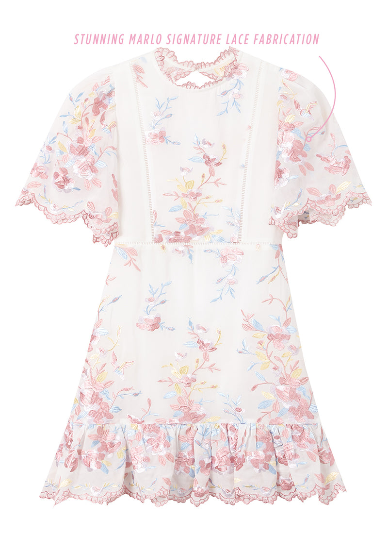 Scarlett Embroidered Mini Dress