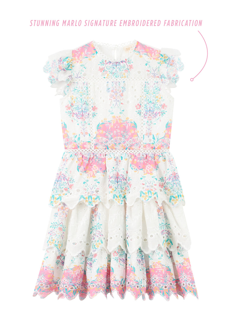 Gracie Embroidered Mini Dress